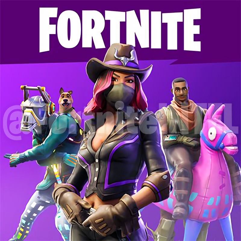 Fortnite Season 6 Guide Skins Battle Pass Challenge Guides Pro - the cowgirl skin looks really good so we re looking forward to the new season credit to fortniteintel for the leak