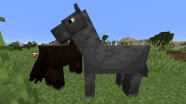 How To Have A Pet Horse In Minecraft At Marie Kogut Blog