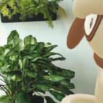 Pokemon Go Ditto Guide December 2020 Ditto List How To Catch Pro Game Guides