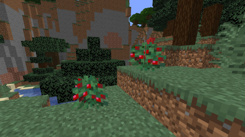 Minecraft sweet berries in a taiga biome
