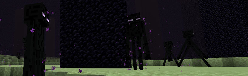 minecraft enderman farm