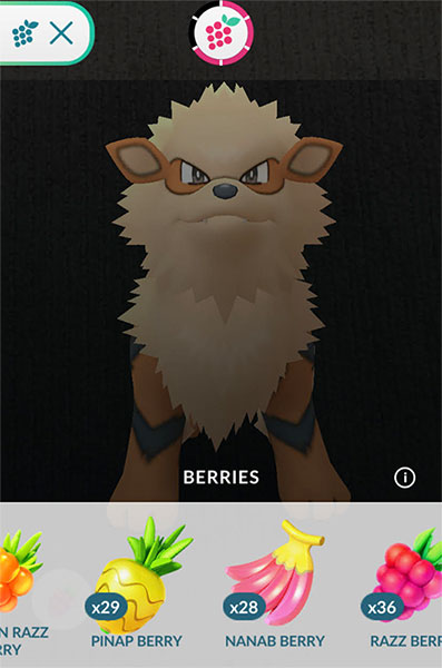 Pokemon Go How To Feed Buddy Pro Game Guides - which pet should i choose roblox feed your pets