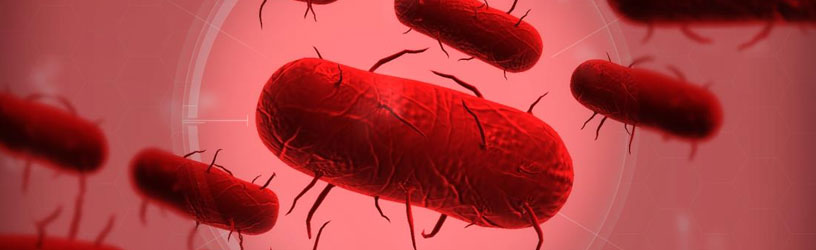 Plague Inc Bacteria Normal Guide Tips On How To Complete Pro Game Guides - plague inc roblox