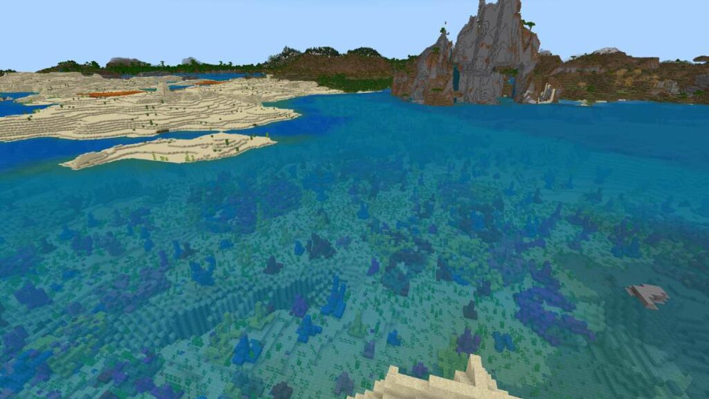 Best Minecraft 1.18 & 1.19 Coral Reef Seeds For Bedrock And Java (July ...