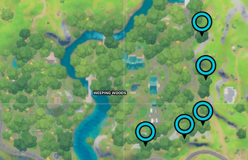 Tree Ring In Fortnite Fortnite Weeping Woods Rings Locations Pro Game Guides