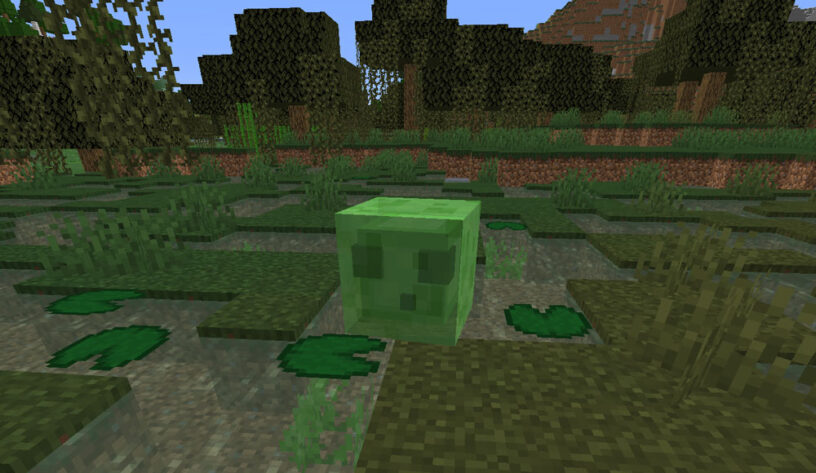 Slime in swamp biome in Minecraft
