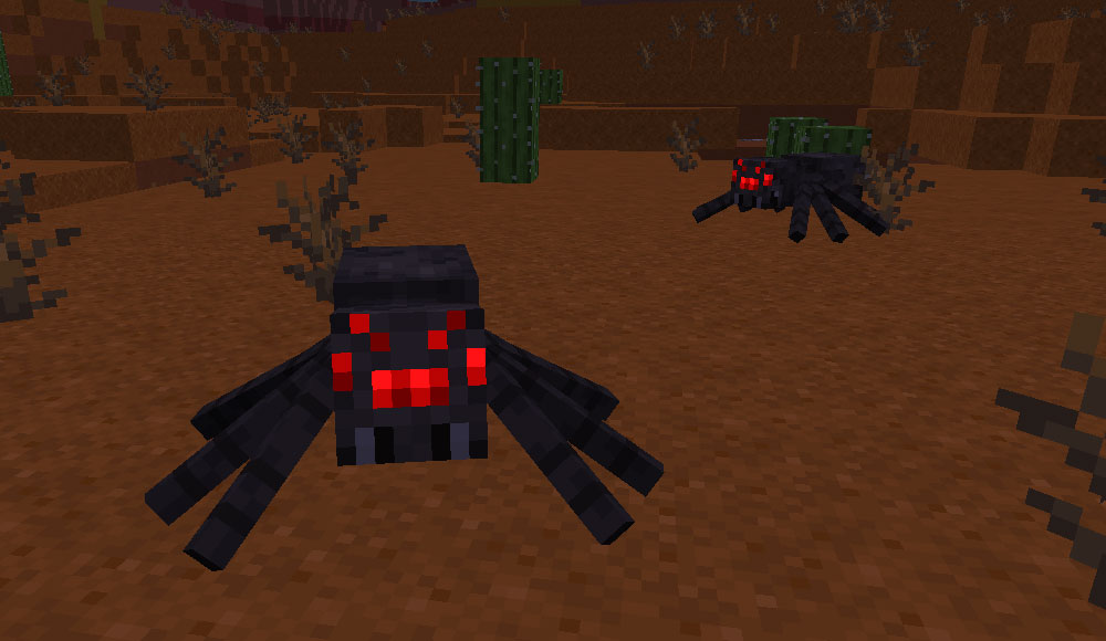 Spider example
