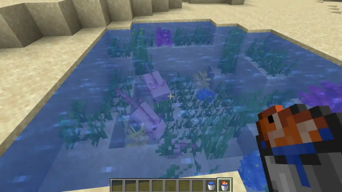 Breeding two Axolotls in Minecraft.