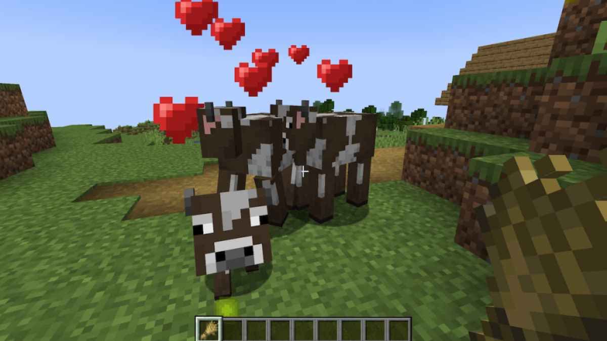 Breeding Cows in Minecraft.