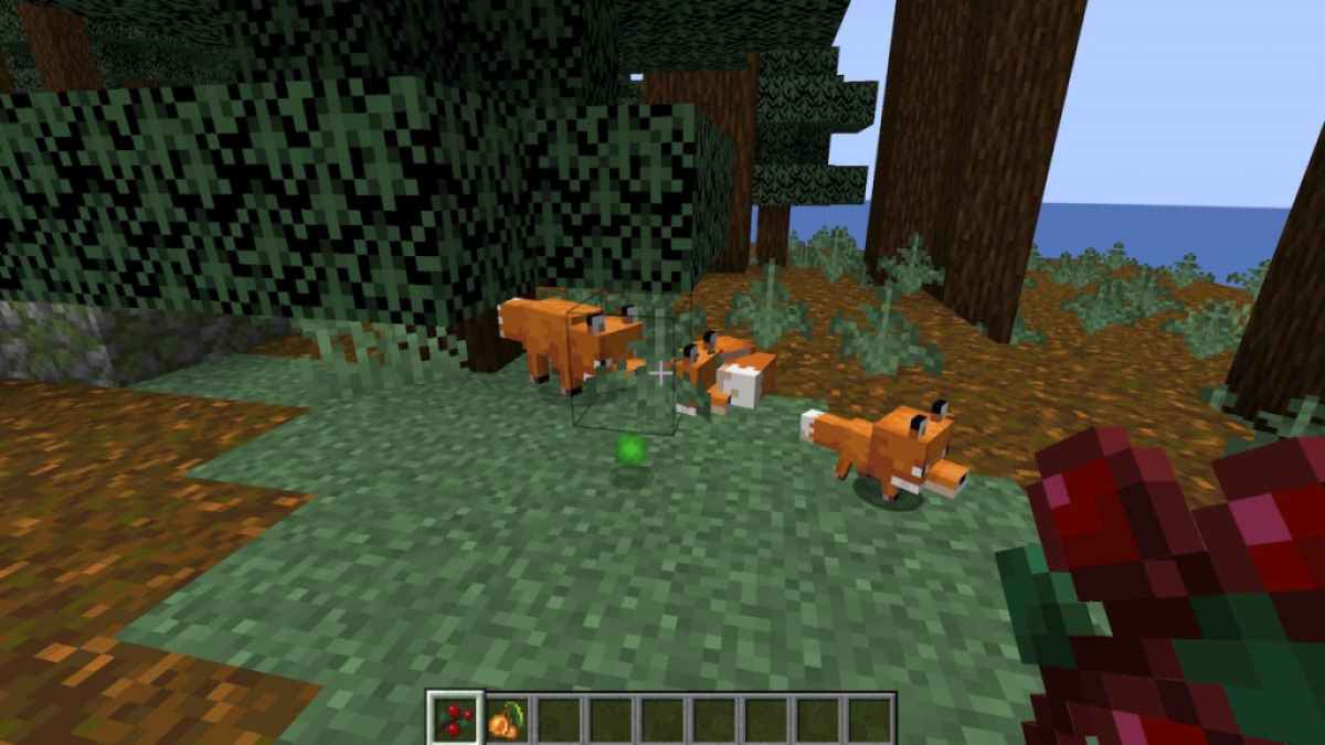 Breeding Foxes in Minecraft.