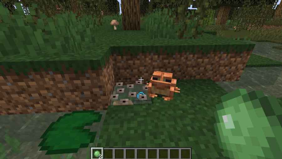 Breeding Frogs in Minecraft.