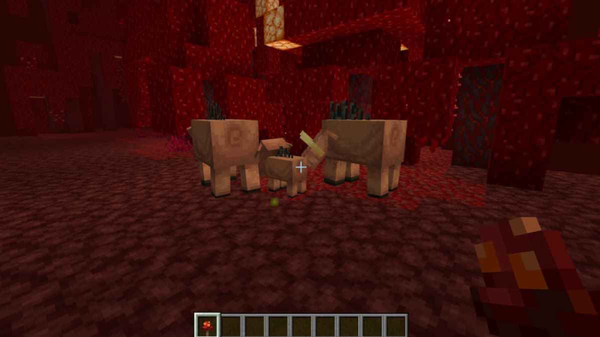 Breeding Hoglins in Minecraft.