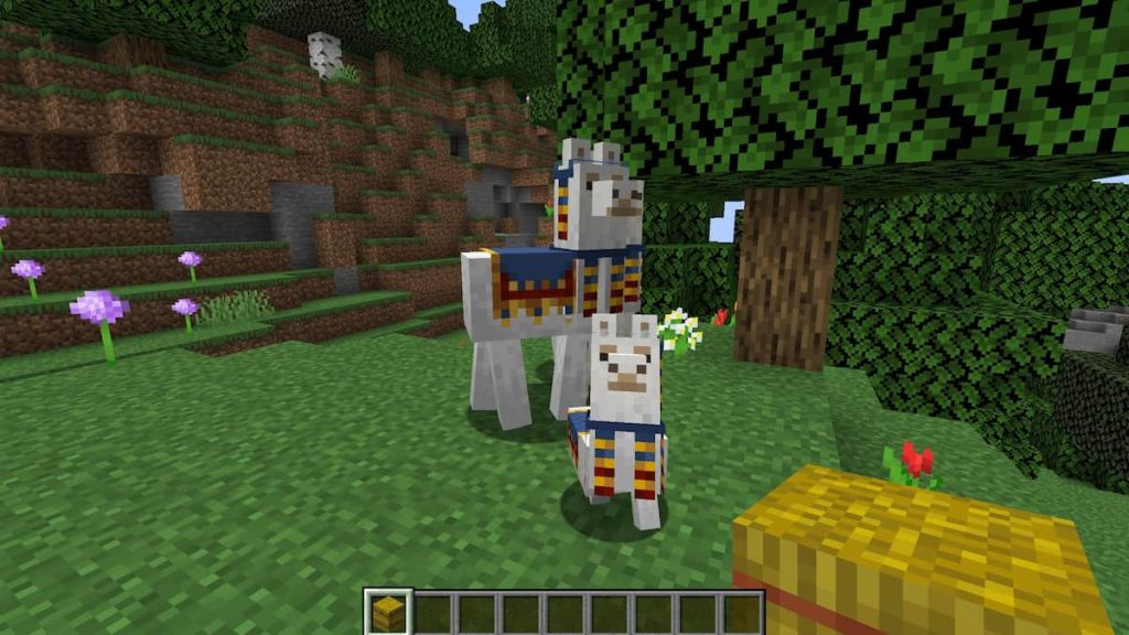 Breeding Llamas in Minecraft.
