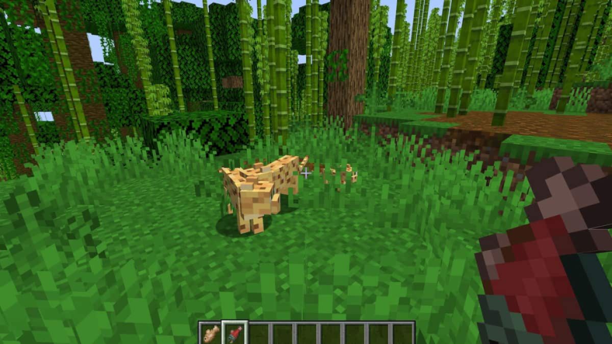 Breeding Ocelots in Minecraft.