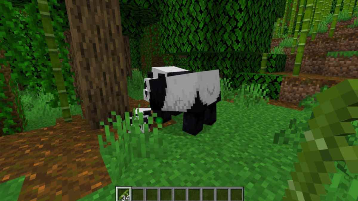 Breeding Pandas in Minecraft.