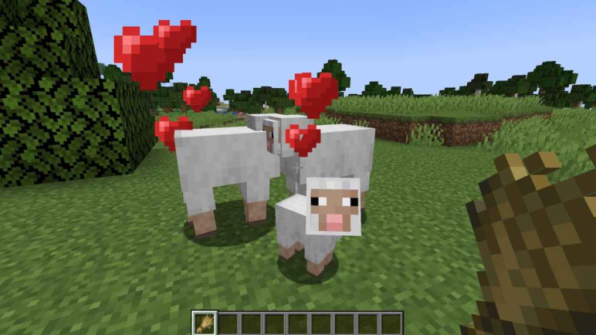 Breeding Sheep in Minecraft.