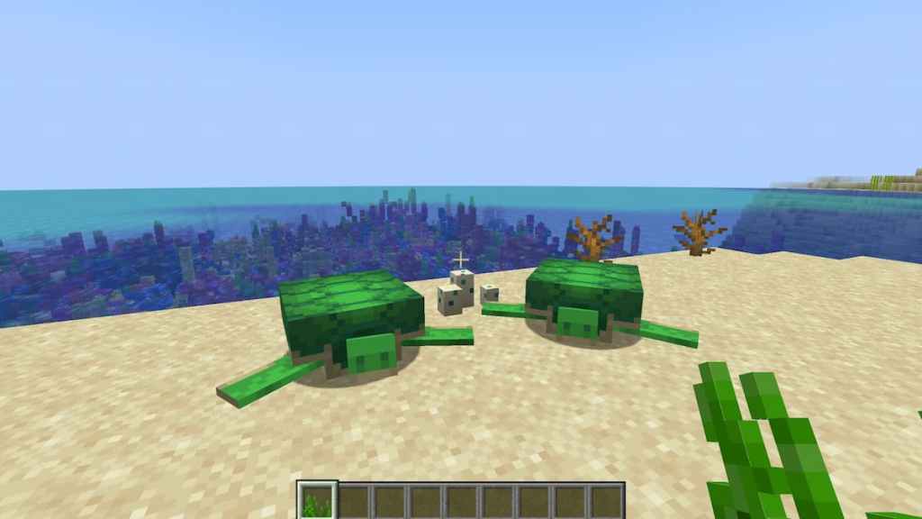 Breeding Turtles in Minecraft.