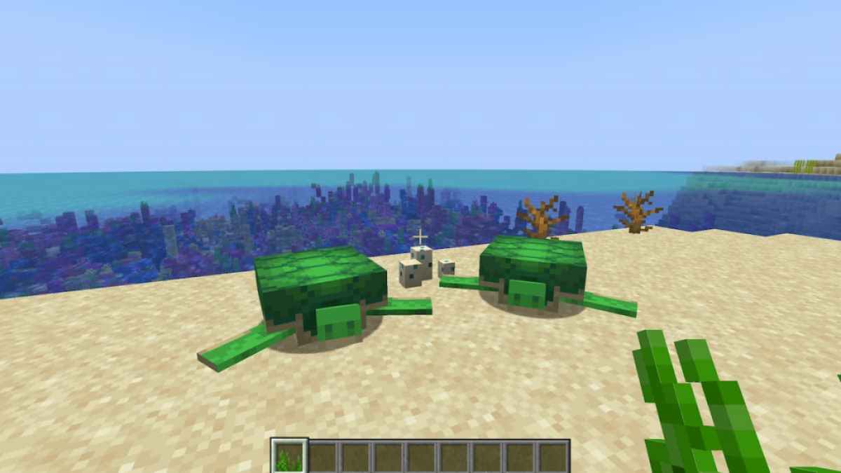 Breeding Turtles in Minecraft.