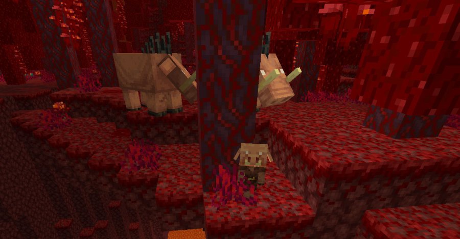 Baby Piglin and Hoglins in Minecraft