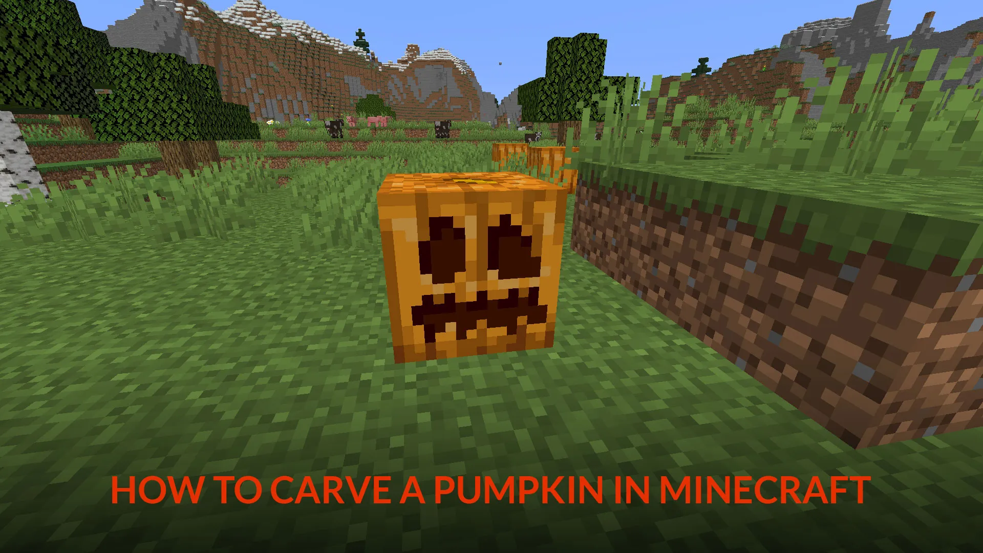 Minecraft Pumpkin Carving Designs