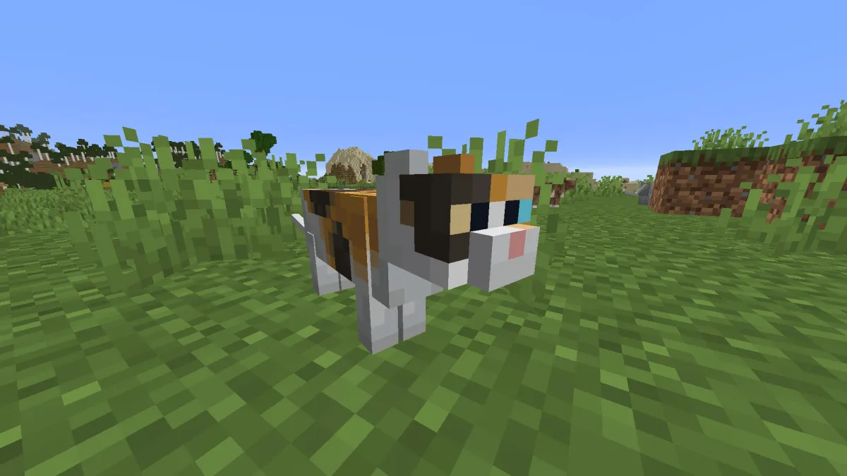 How to tame a cat in Minecraft