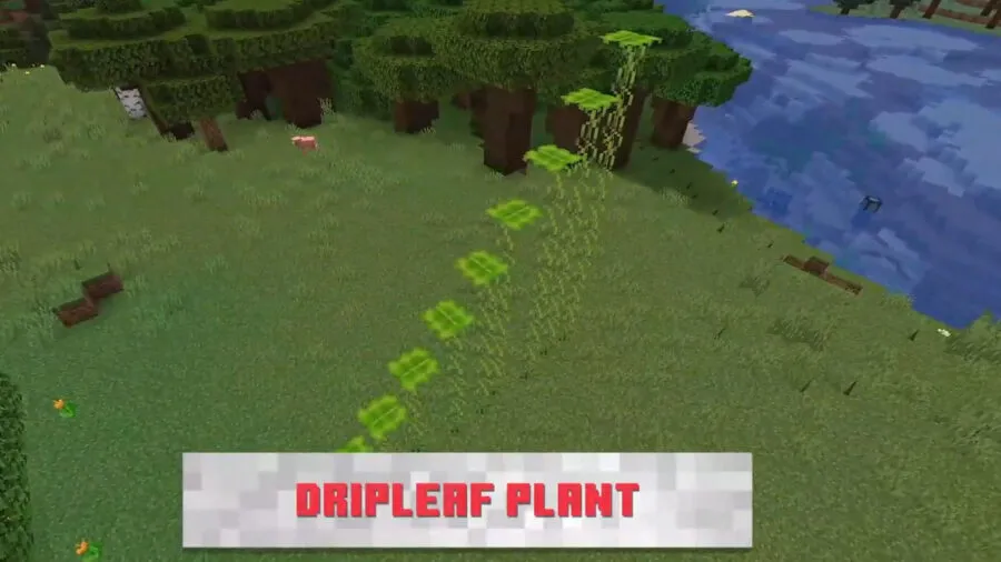 Minecraft Dripleaf Plant