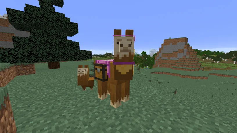Llama wearing a pink carpet in Minecraft