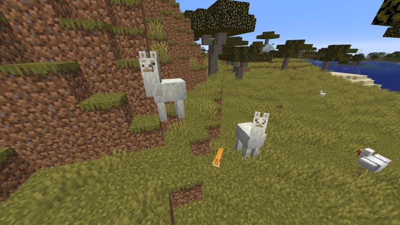 Minecraft llamas in a savanna biome