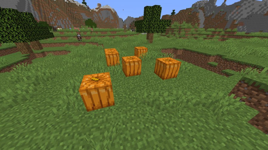 pumpkins spawned in a plains biome in Minecraft