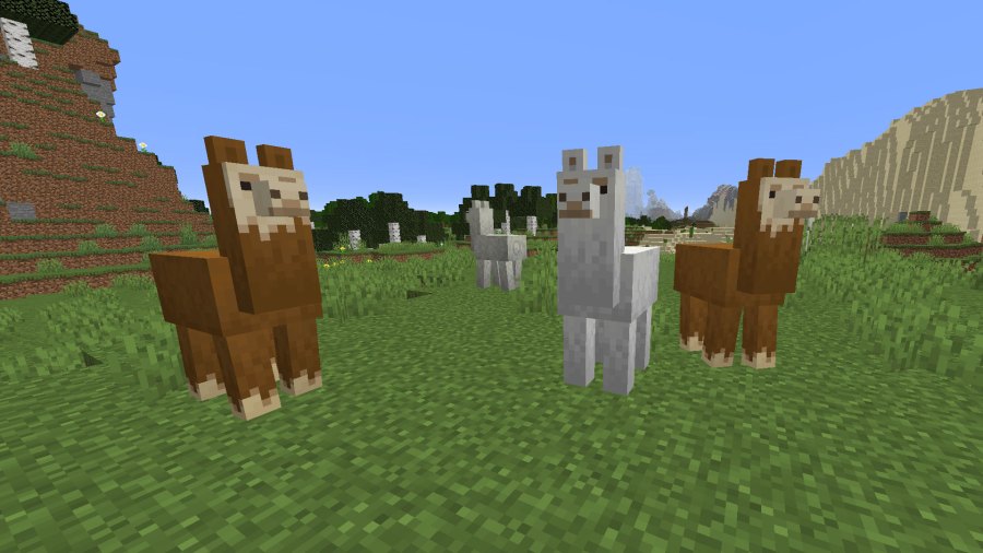 Three llamas standing together in Minecraft