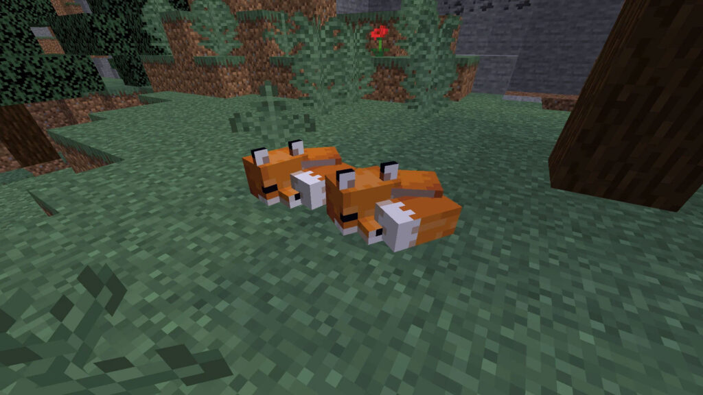 How to Tame a Fox in Minecraft (2021) - Pro Game Guides