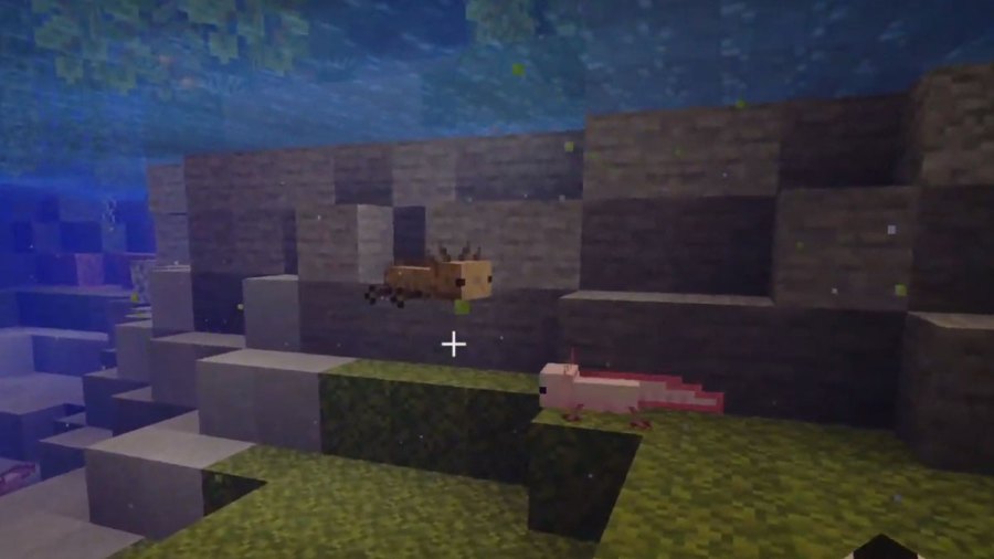 Minecraft 1.17.1 release date revealed » TalkEsport