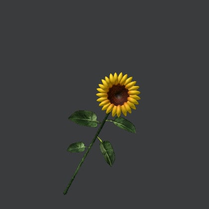 L76t8zjjneigbm - what id the roblox code for the song sunflower