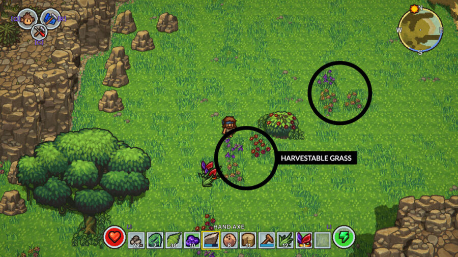 An example of harvestable grass in The Survivalists
