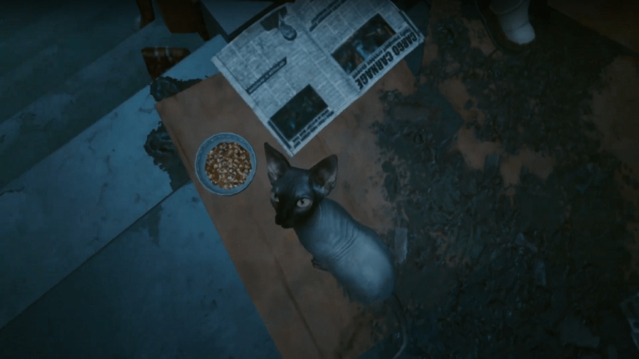 You can pet the cat in Cyberpunk 2077 Pro Game Guides
