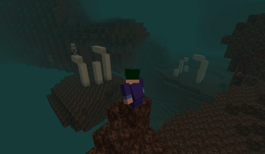 Barish looking at some bones in a Minecraft Soul Valley.