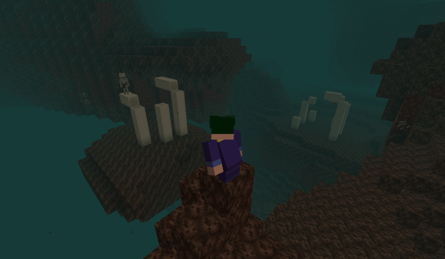 Barish looking at some bones in a Minecraft Soul Valley.
