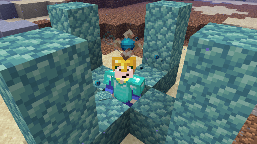 Barish underneath a Minecraft Conduit.