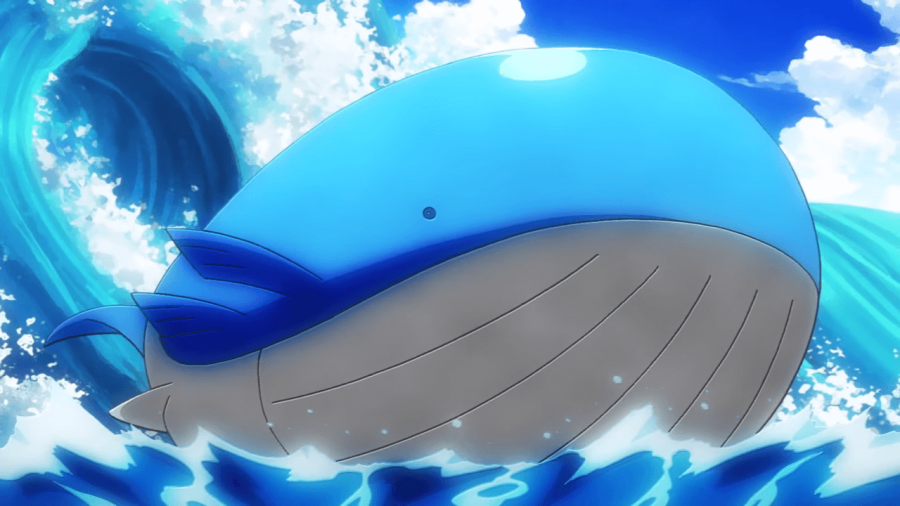 Image of Wailord in Pokemon Anime.