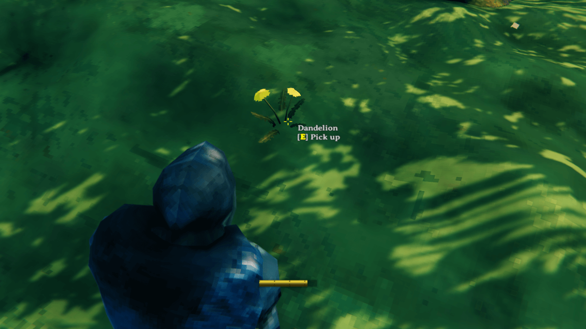How to farm Dandelions in Valheim Dandelion locations Pro Game Guides