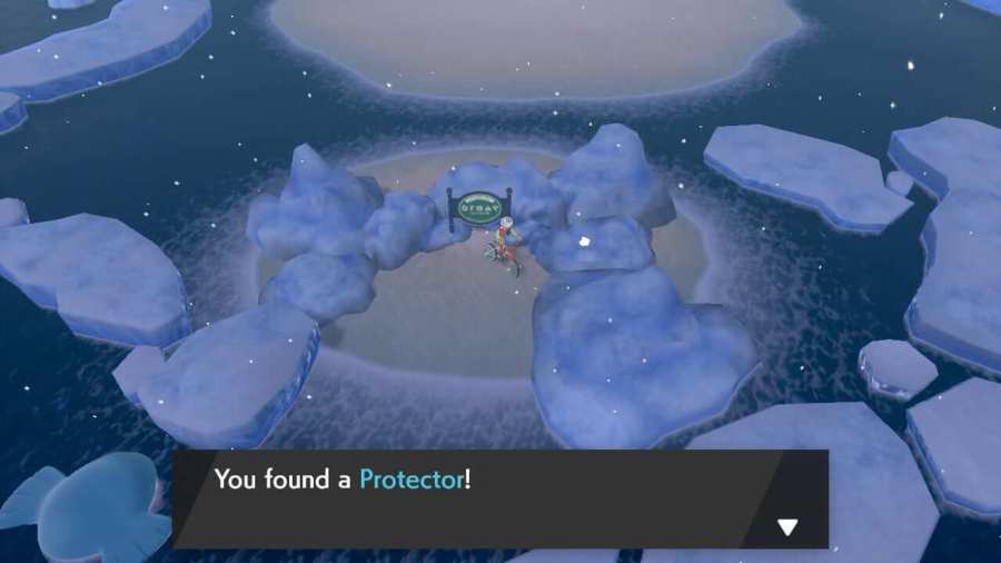The Protector item location on Route 9.