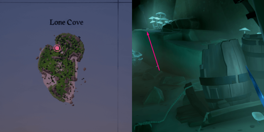 The location of the Journal on Lone Cove.