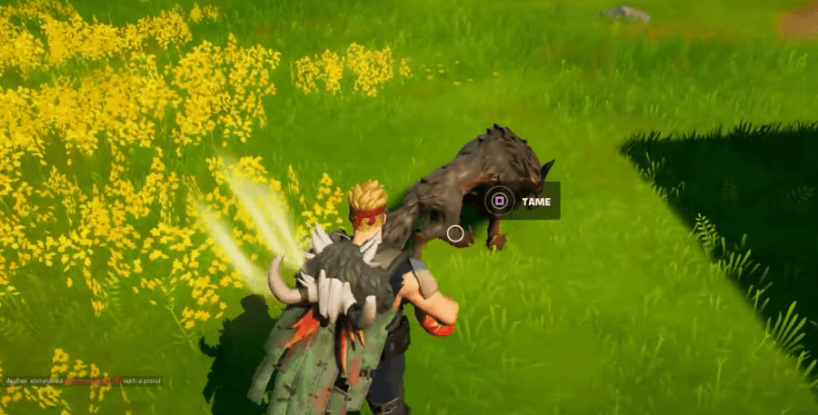 A Fortnite character taming a wolf.