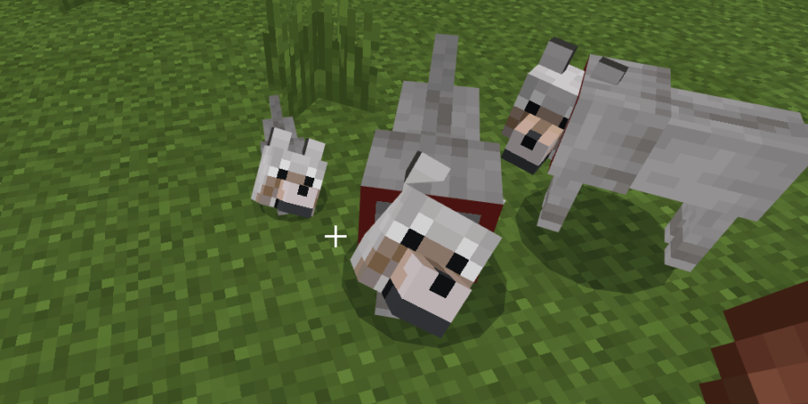 A wolf looking at a character in Minecraft.