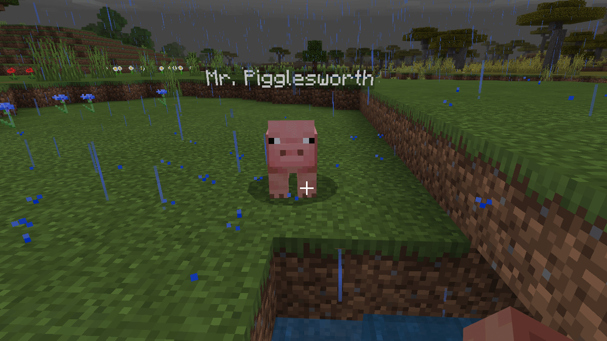 A Pig in Minecraft named Mr. Pigglesworth.