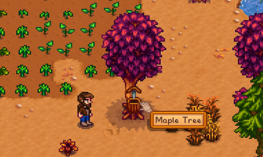 How to get Maple Syrup in Stardew Valley - Pro Game Guides