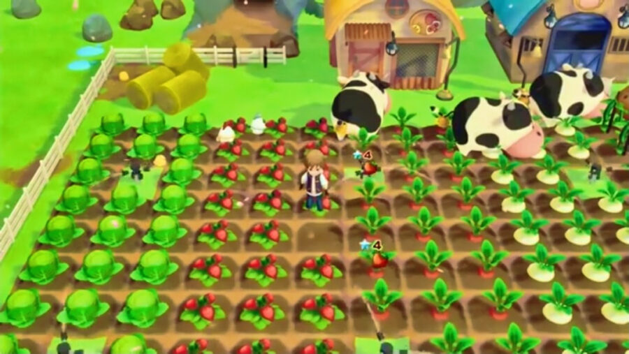 Screenshot of Story of Seasons game play trailer