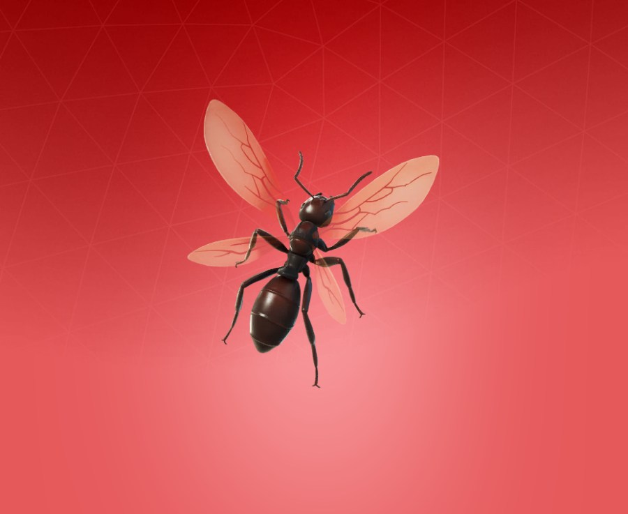 Ant-Tonio Back Bling