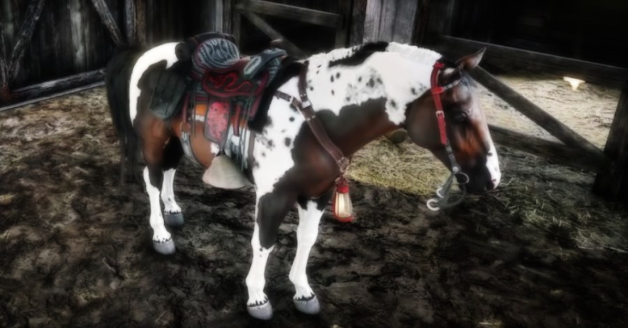 Screenshot of Red Dead Online game play