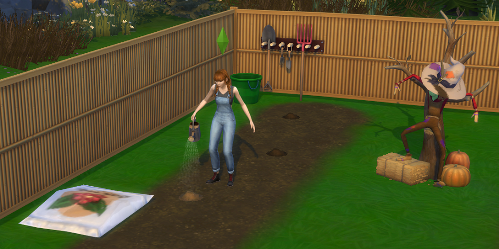 How To Plant Seeds In Sims 4 Plant Ideas